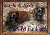 Kayla & Kody's
     Award